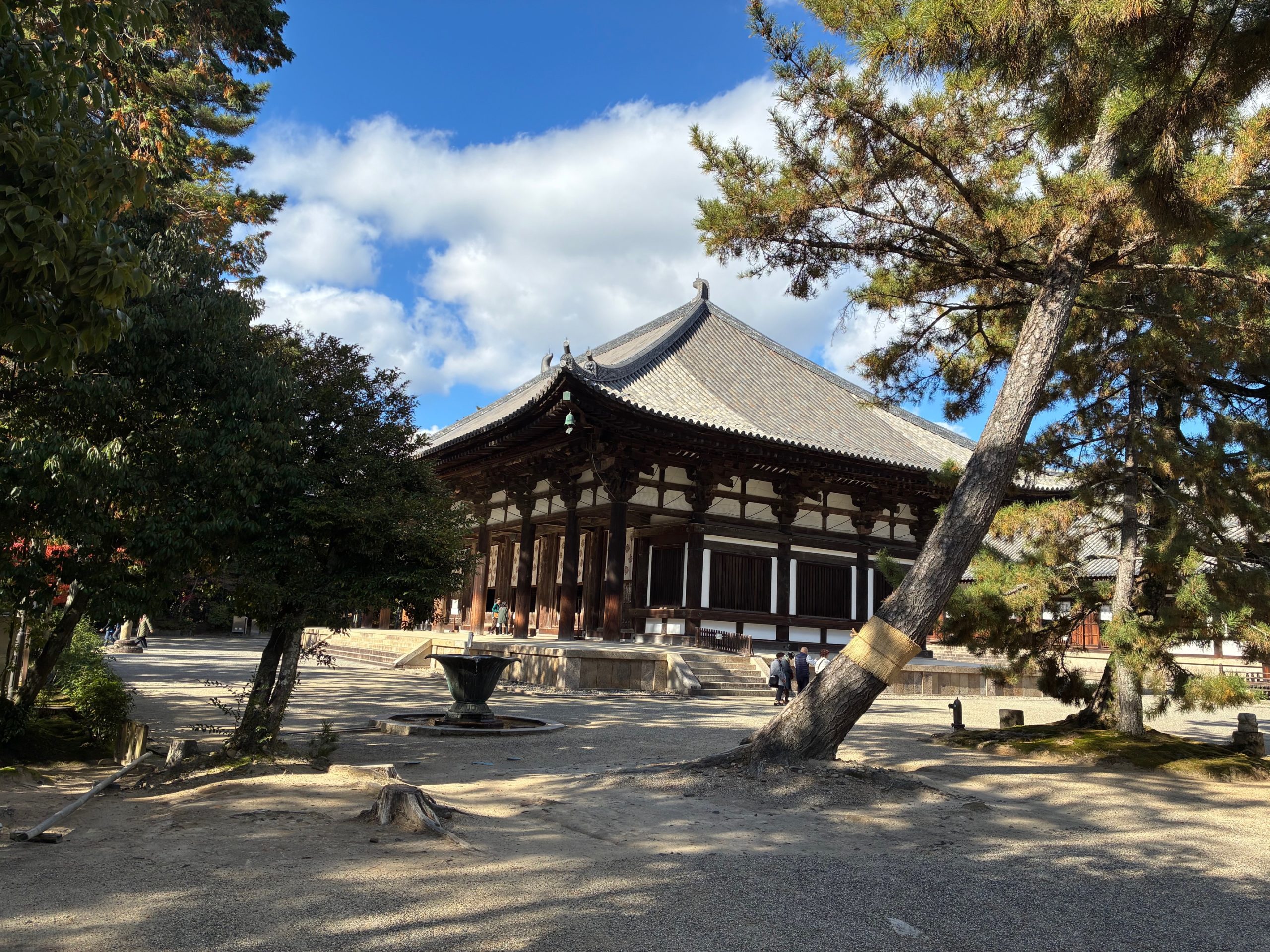 若葉して御目の雫ぬぐはばや