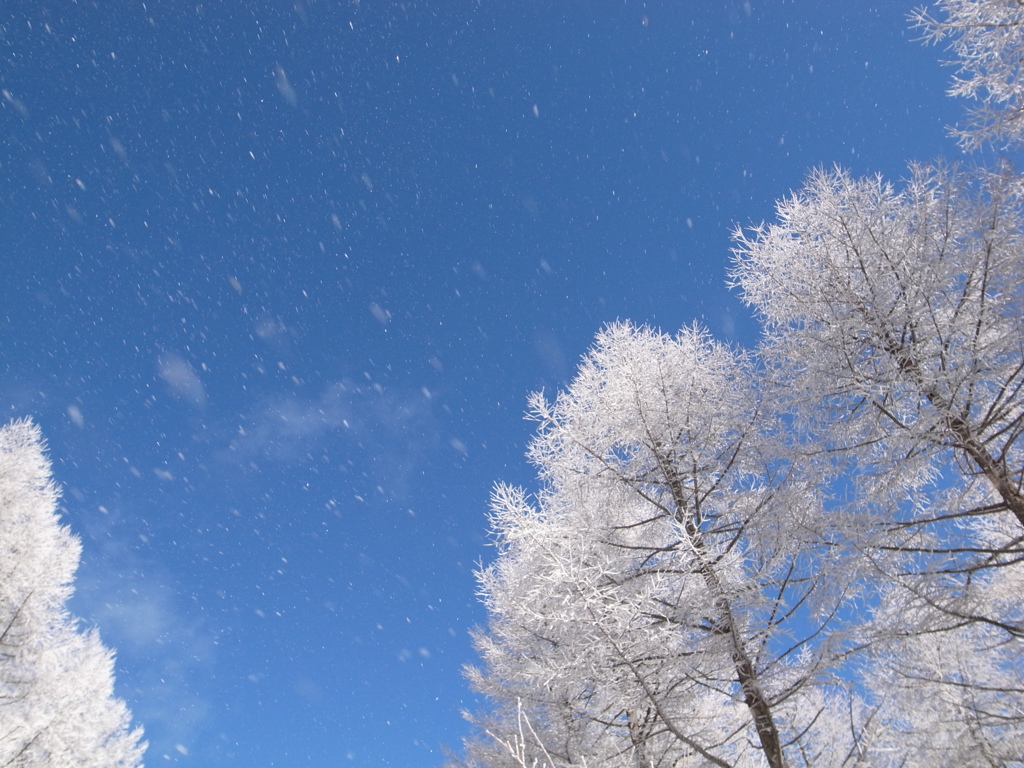 風花や天の粗相のうつくしく