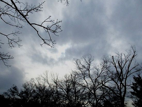 気がつけば頭上に国家雪催ひ