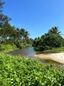 「熱帯と創作」（５）『マレー蘭印紀行』　～放浪の哲学～