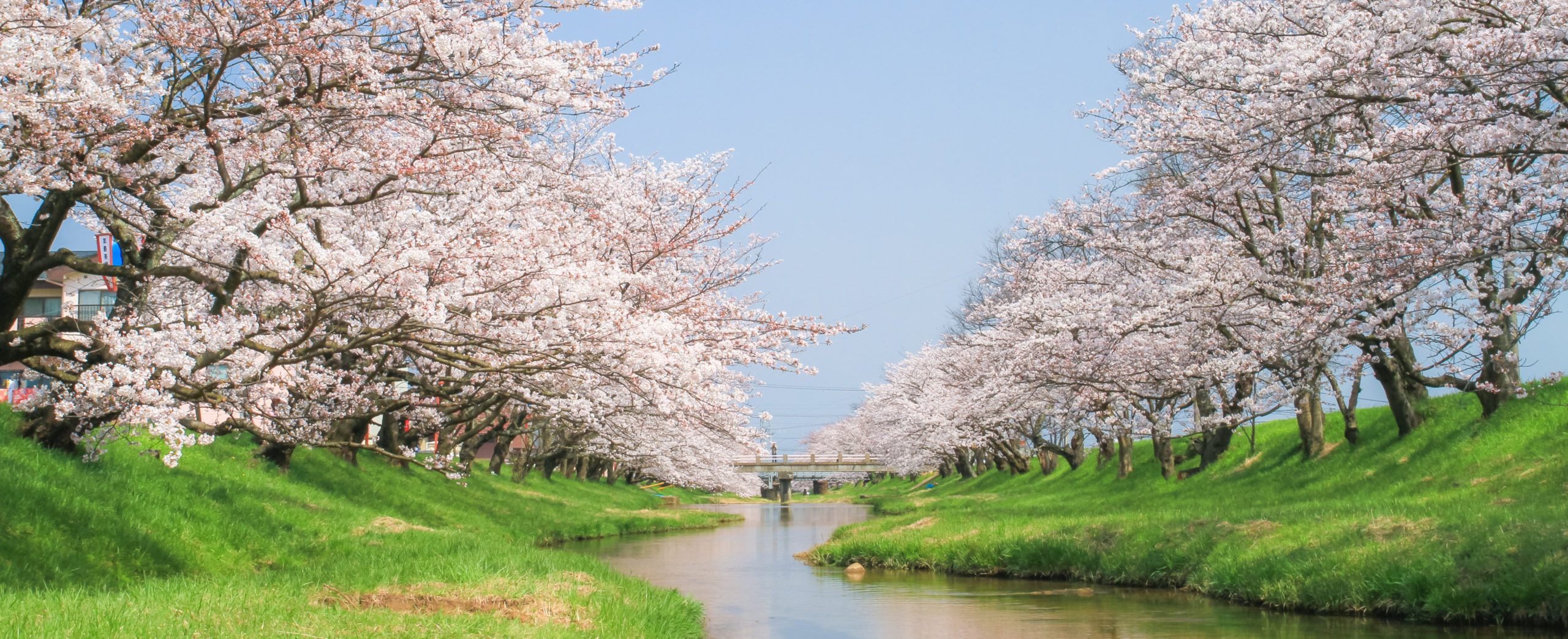 てのひらをすべらせたたむ花衣