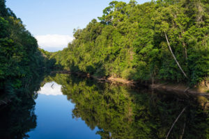熱帯と創作 (11) 『ナニカアル』~林芙美子の恋の真実～