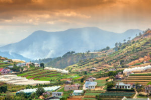 熱帯と創作(10) 『浮雲』~戦争への贖罪~